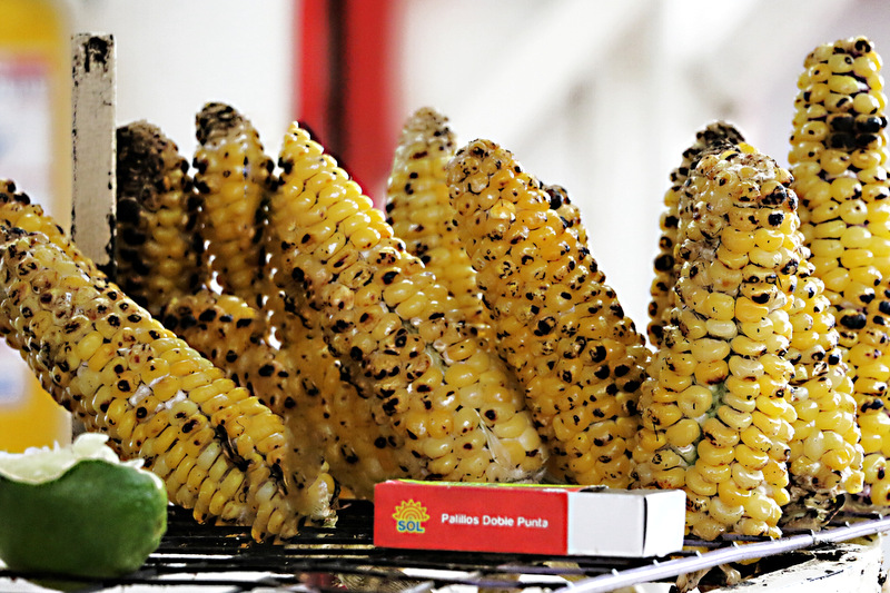 Choclos o mazorcas de maíz o elotes asados